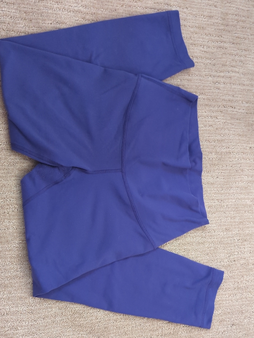 Womenโs Blue Athletic Pants